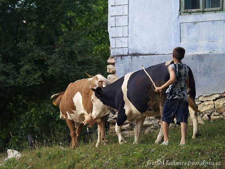 Rumunsko_Banat_Svata Helena_Lide a zvirata (9)