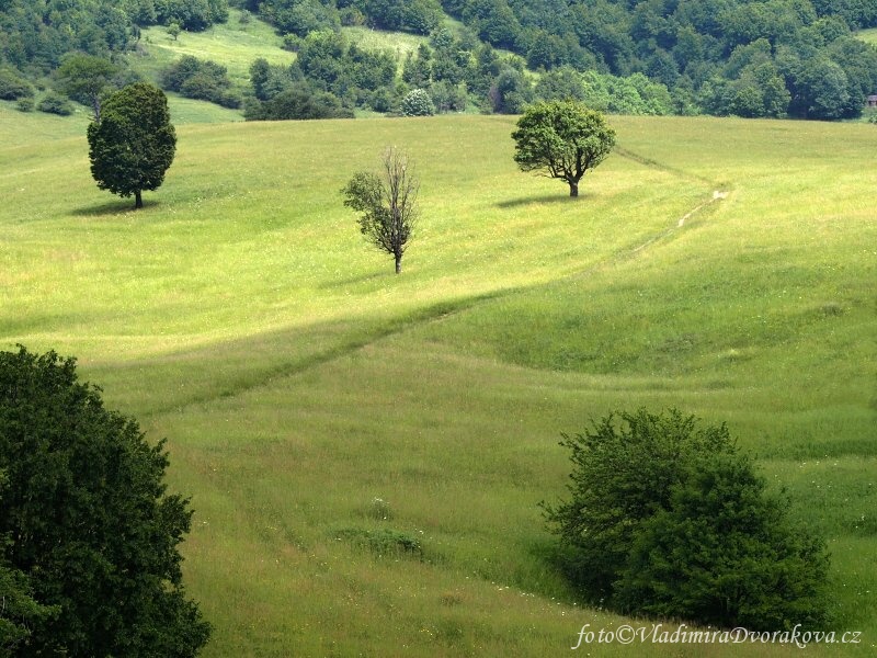 Rumunsko_Banata_Svata Helena_Krajina a udoli (3)