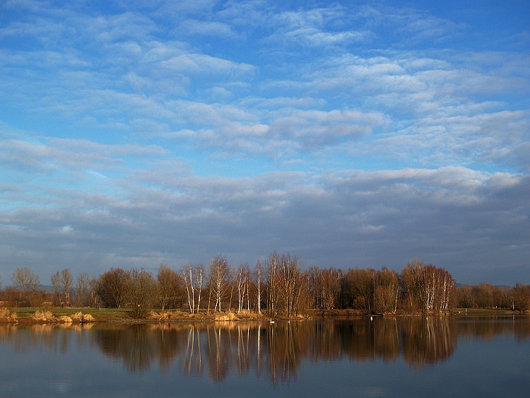 Příšovice - rybník Písečák (1)