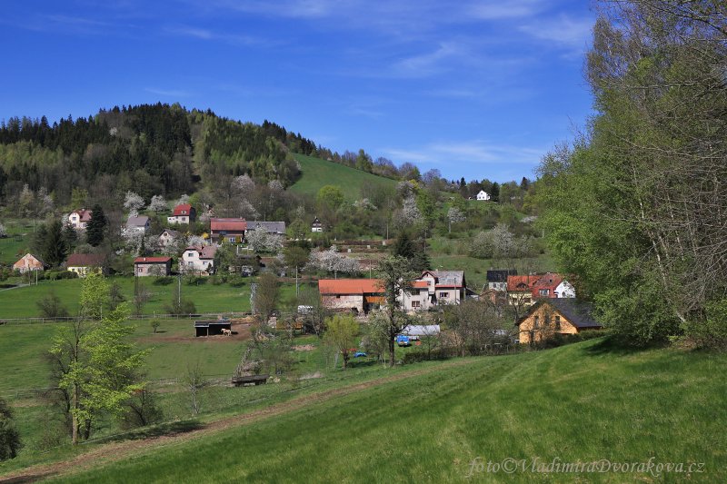 Frýdštejn a Mandlová hora10