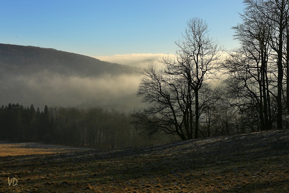 Cestou k vrcholu Jedlové (4)