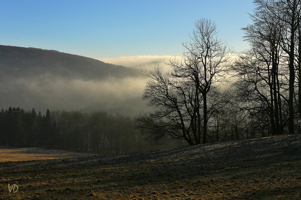 Cestou k vrcholu Jedlové (4)