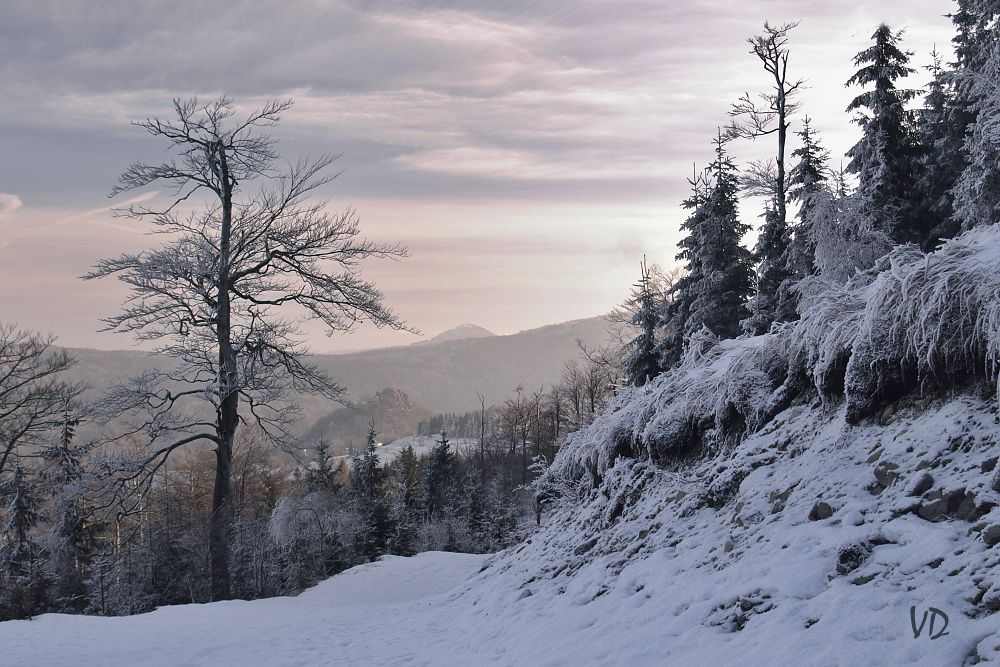 Cestou k vrcholu Jedlové (5)