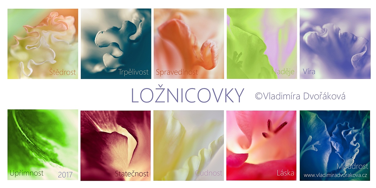 Ložnicovky - názvy