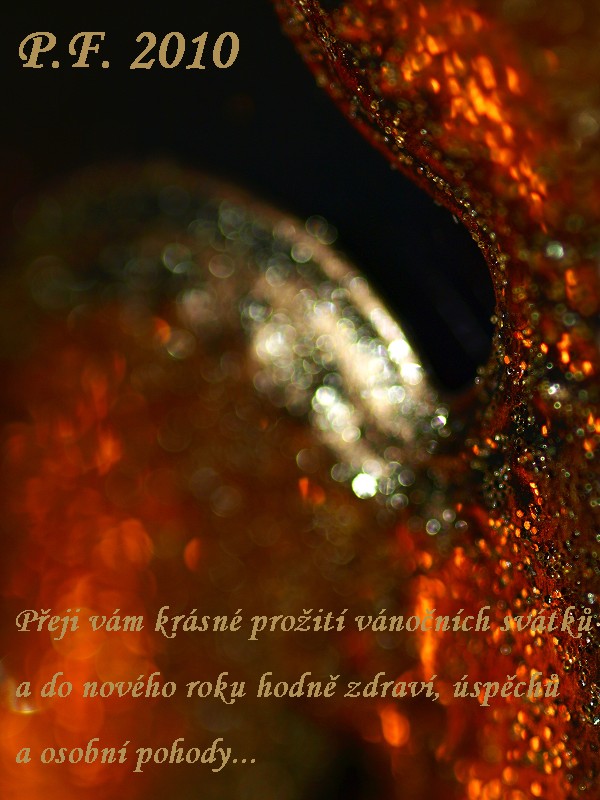 P. F. 2010