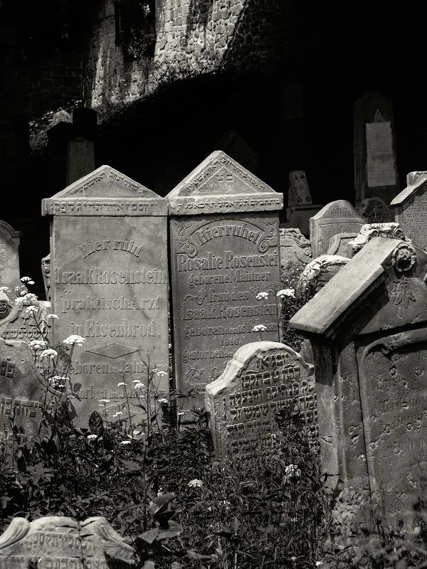 Židovský hřbitov v Turnově (3)
