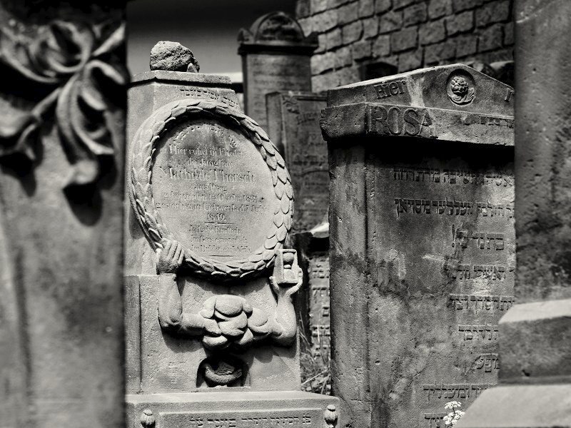 Židovský hřbitov v Turnově (5)