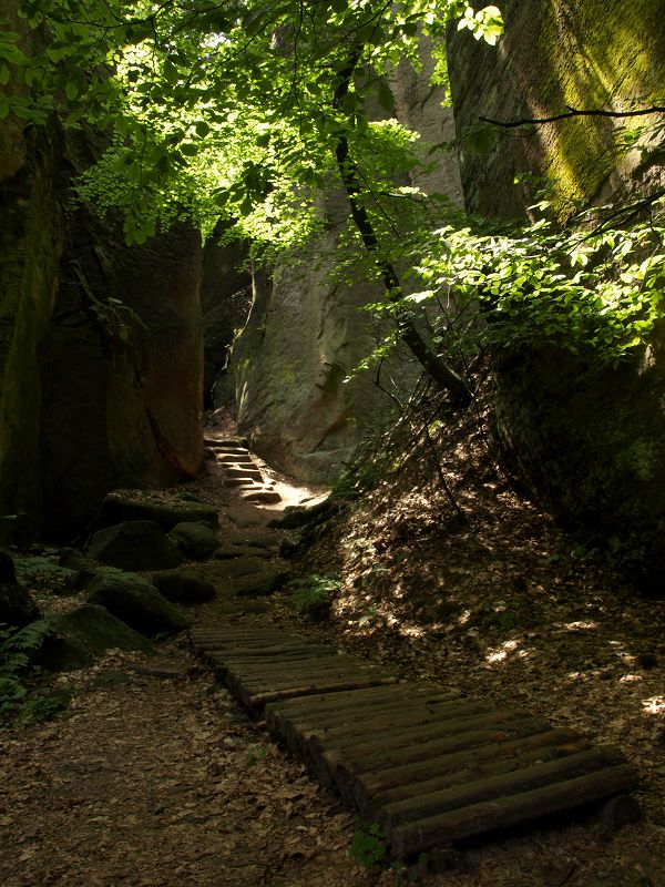 Prachovské skály (13)